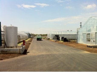 image-20110420205719.png
