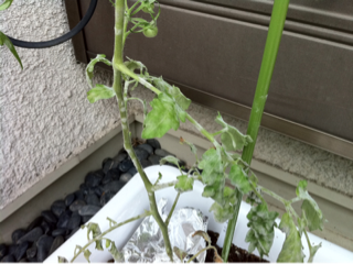 image-20110506201913.png