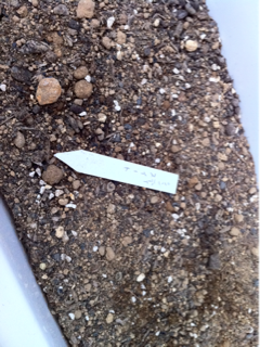 image-20110506201935.png