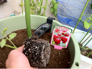 image-20110507230747.png