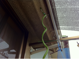 image-20110507230831.png