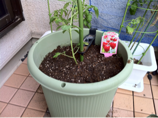 image-20110507230921.png