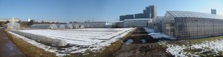 DSC01376_stitch.jpg