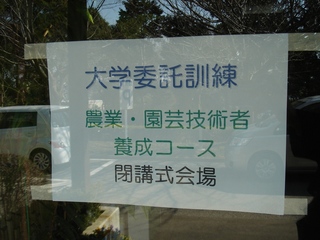 DSC02348_R.JPG