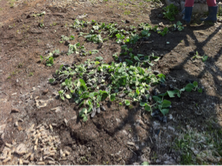 image-20110223123052.png
