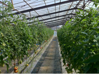 image-20110308124832.png