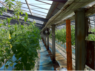image-20110308124851.png
