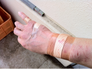 image-20110309122543.png
