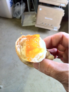 image-20110426212907.png