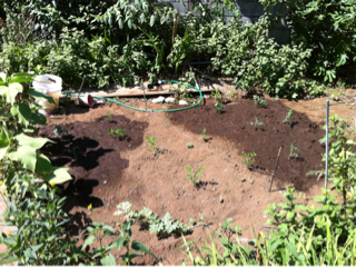 image-20110709143615.png